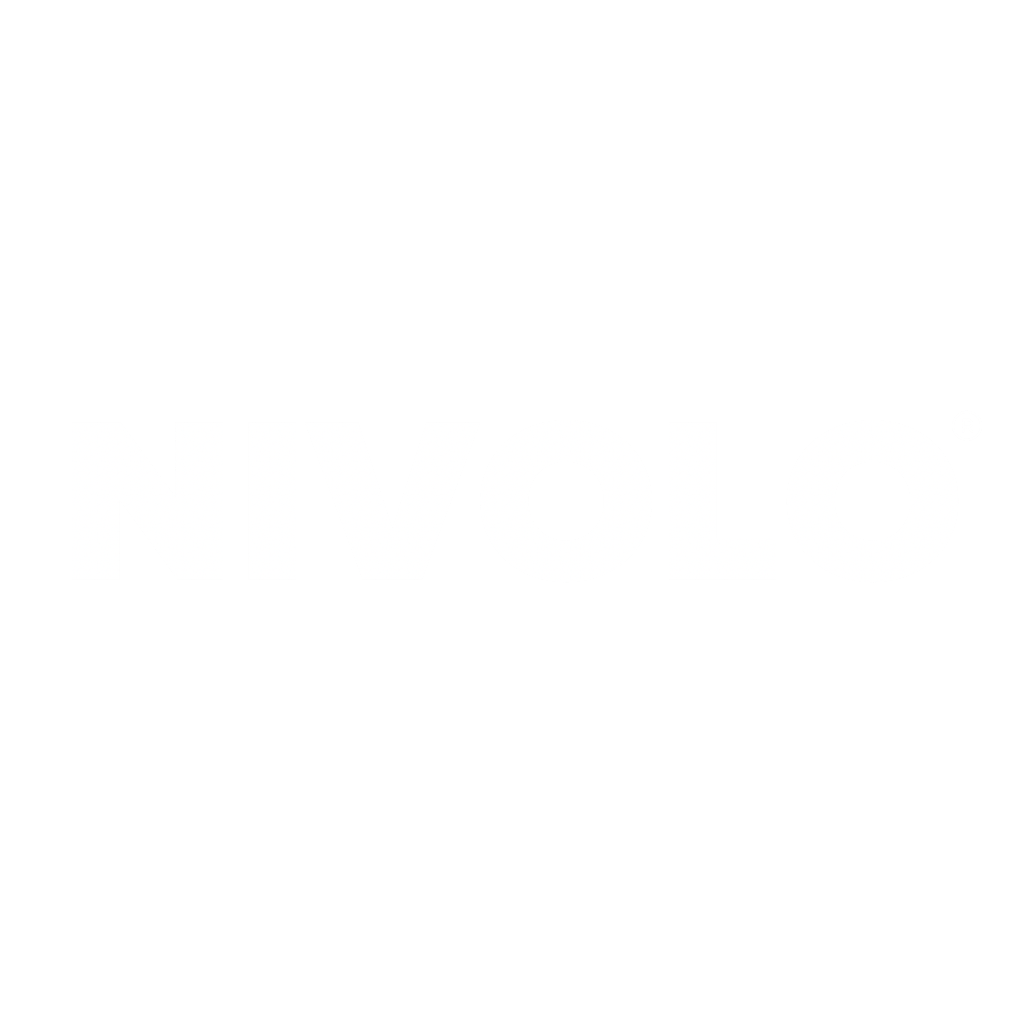 Nivolo Logo